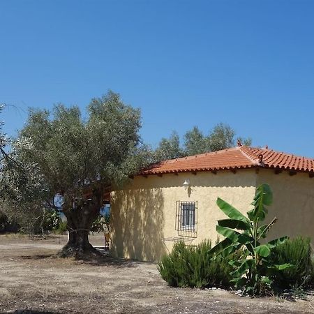 Villa House By The Sea At Skaloma, Loutraki à Lac de Vouliagmeni Extérieur photo